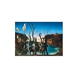 (4x6) Salvador Dali Cignes Refletant Des Elephant Postcard