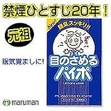禁煙パイポ 10個セット ペパーミント