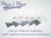 Clara's Magical Diamante Light Sapphire Rhinestone Multi Pack size SS10 x 5 packs (Iron On Hot-fix Items)