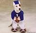 Pet Costume Football Fever Large