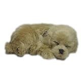 Perfect Petzzz XP91-02 Huggable Golden Retriever Puppy