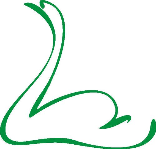 Imagen principal de Etiqueta de la pared d395 Cisnes nadar 120x114 cm