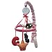 Kimberly Grant ABC & Me Musical Mobile