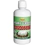 Dynamic Health Organic Certified Mangosteen Juice Blend, 33.8-Ounce Bottle