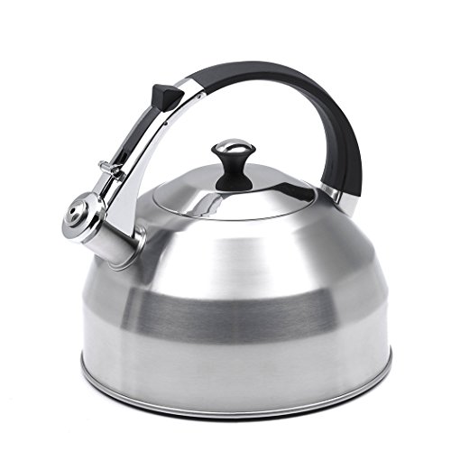 Evco International Creative Home Panorama Stainless Steel Tea Kettle, 3.7 quart, Silver