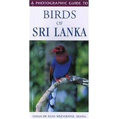 A Photographic Guide to Birds of Sri Lanka