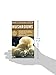 Simon & Schuster's Guide to Mushrooms (Nature Guide Series)