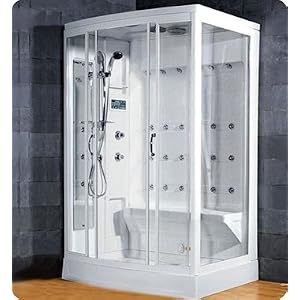 Click to buy AmeriSteam ASP219 Steam Shower Unit from Amazon!