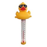 Derby Duck Swimming Pool Thermometer