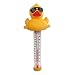 Derby Duck Swimming Pool Thermometer