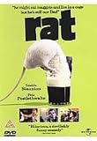 Rat