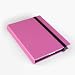 Grifiti Dootle Book Case for Apple iPad 2 and 3 with Classic Casebound Hard Back Book Exterior in Pink, Removable Custom Form Fit iPad Frame, Storage Pocket, and Big-Ass Bands to Close