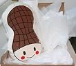 Peanut Organic Pillow