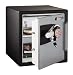 Fire-Safe 1.2 Cu. Ft. Capacity Electronic Safe, Black/Gunmetal Gray