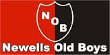 ARGENTINA NEWELLS OLD BOYS BIG FLAG POSTER