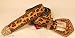 Leatherock Tan Hair Leopard Print Leather Belt
