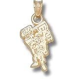 Eastern Kentucky Univ Colonel 1/2 Pendant (10kt)