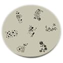Konad Stamping Nail Art Image Plate - M35