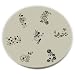 Konad Stamping Nail Art Image Plate - M35