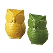 Citrus Owl Salt and Pepper Shakers