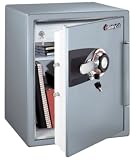 Sentry �Z���g���[ �ω΁E�ϐ�����(1���ԑω�) �_�C�����^�C�v JSW5460