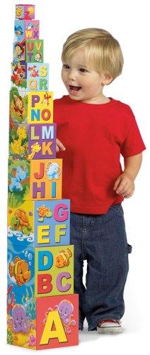 Shelcore - Stack, Learn N Play Blocks