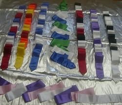 Rhythmic Ribbons Multi-Colors 9ft