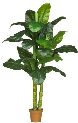 7′ Dieffenbachia Silk Plant – (Real Touch)