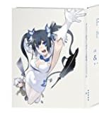 「ダンジョンに出会いを求めるのは間違っているだろうか」Vol.1