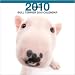 terrier14 - Bull Terrier 2010 Wall Calendar