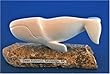IVORY BOWHEAD WHALE by DEAN KULOWIYI