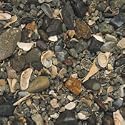 Carib Sea Ecco-Complete Live Freshwater African Cichlid Gravel 20 lb