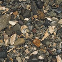 Carib Sea Ecco-Complete Live Freshwater African Cichlid Gravel 20 lb