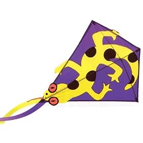Click here to buy Go Fly A Kite Lizard Classic Diamond Kite by Go Fly A Kite.