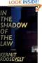 In the Shadow of the Law: A Novel