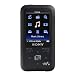 Nice Starter MP3 players for Around $150 or Less!!!!