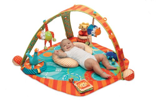 Picture of Cozy Boppy EntertainMe Play Gym, Flying Circus 7230501K (Baby Gym)