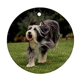 Bearded Collie Ornament (Round)