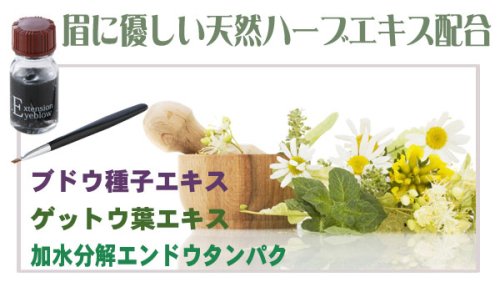 Cover image : 【眉毛エクステジェル】