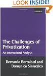 The Challenges of Privatization: An I...