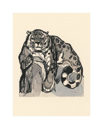 Snow Leopard Fine Art Poster Print by Art Deco , 16x20