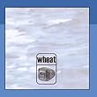 Medeiros by wheat (2010-03-29)【並行輸入品】