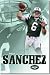 New York Jets Mark Sanchez Qb 22X34 Poster Nfl 4790