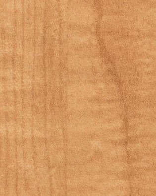 Formica 