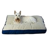 Four Season Bed - Khaki with Sage Cording, 42 x 30 x 4