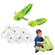 Insect Lore Frog Life Cycle Stages
