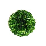Preserved Boxwood Ball 8"