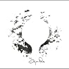 Image of album by Sigur Rós