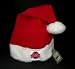 Ohio State University Lined Santa Hat (OSU Buckeyes Football Rose Bowl & Christmas Pa...