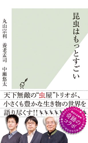 昆虫はもっとすごい (光文社新書)